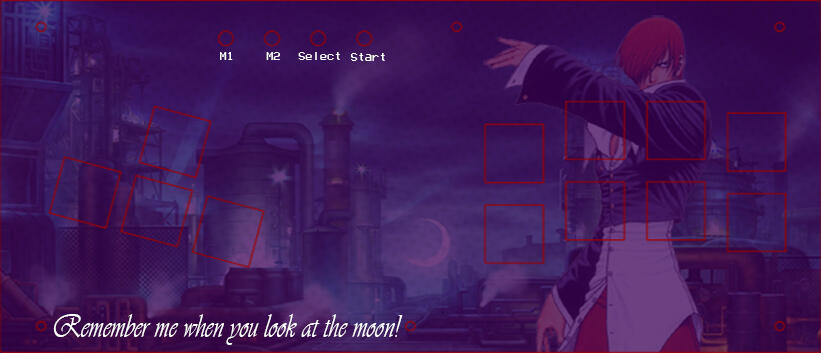 Custom controller design for vsFIGHTER Steel: https://leafcutterlabs.com/products/vsfighter-steel?variant=41050538147999